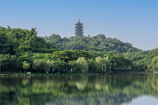 如何評估佛山集團管控咨詢公司的服務質量和效果？