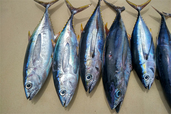 商務(wù)部：將幫助外貿(mào)企業(yè)擴(kuò)寬內(nèi)銷渠道，政策解讀！